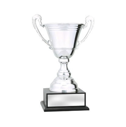 Standard Bowl Cup – Wildfire Engraving