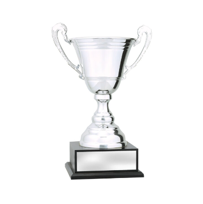 Standard Bowl Cup