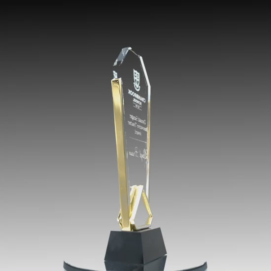 Modern Fusion Gold Arch Award