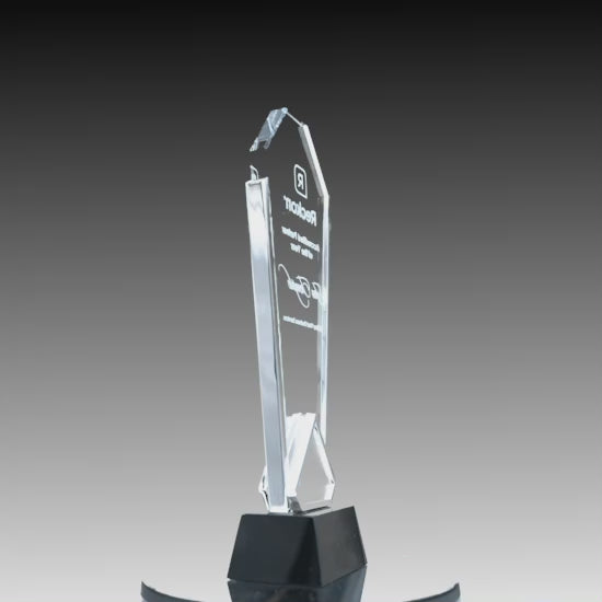 Modern Fusion Silver Arch Award